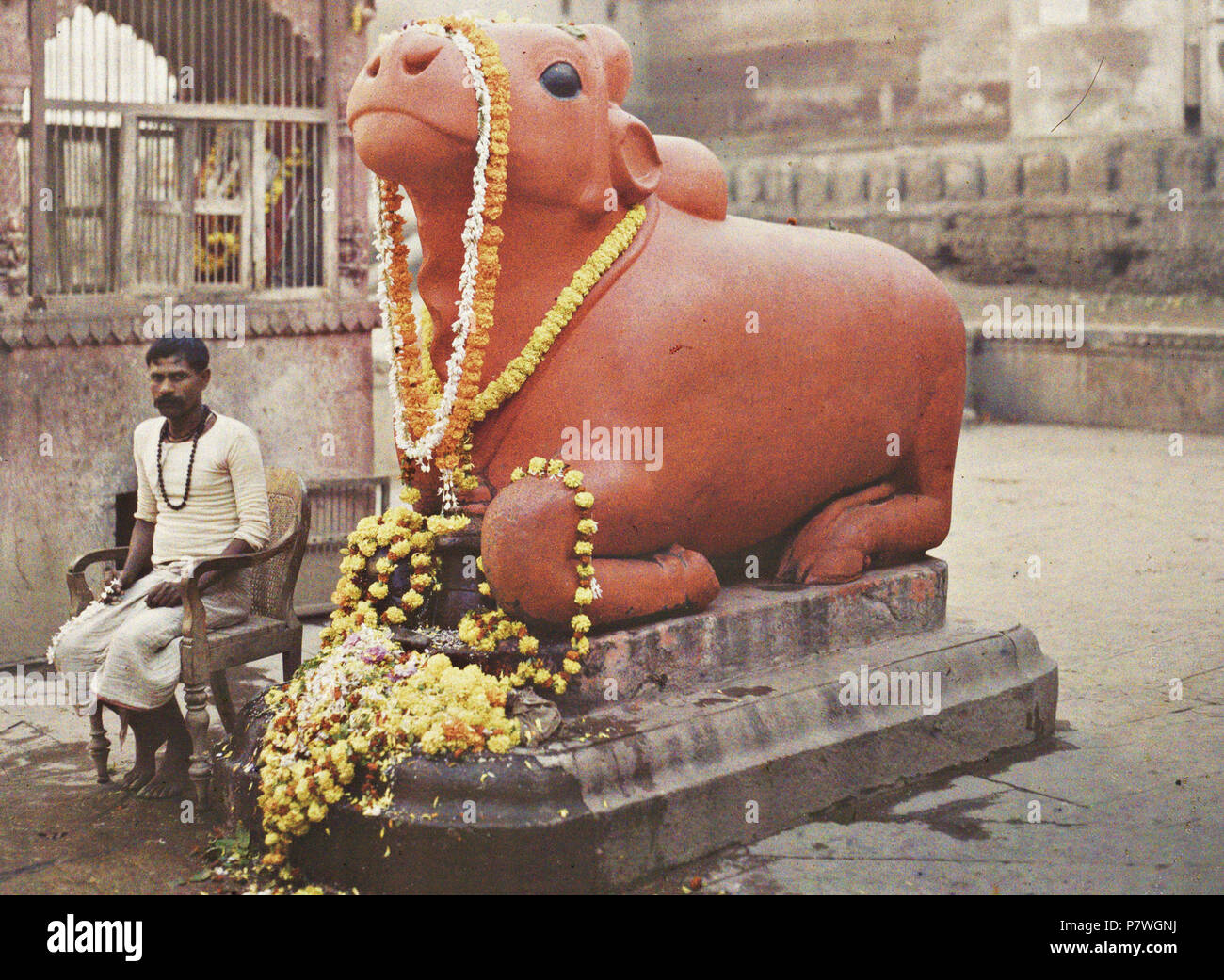 English: Statue of the bull Nandi. Benares (Varanasi). Autochrome from Albert Kahn's Archives de la planète. Français : Statue du taureau Nandi, monture de Shiva. Bénarès (Varanasi). Autochrome. Archives de la planète, inv. A 4 432 S. [1]. 29 January 1914 203 Indien, Varanasi Benares, Statue des Heiligen Stiers Stock Photo