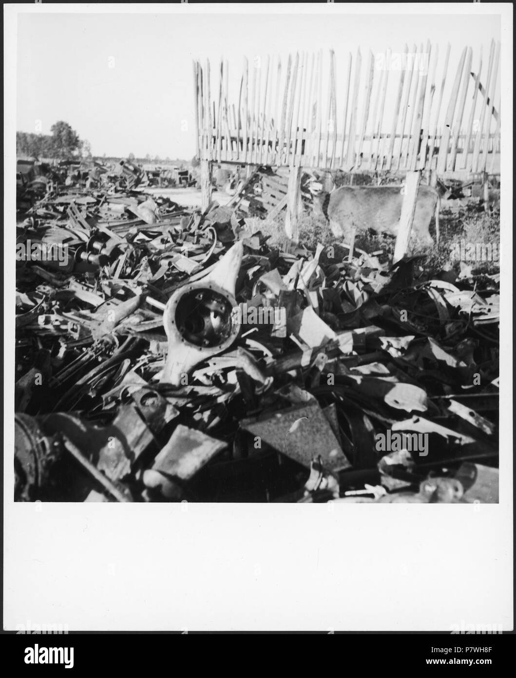 USA, Athens/TN: Autofriedhof; Metallteile auf einer Wiese. from 1936 until 1938 85 CH-NB - USA, Athens-TN- Autofriedhof - Annemarie Schwarzenbach - SLA-Schwarzenbach-A-5-10-213 Stock Photo