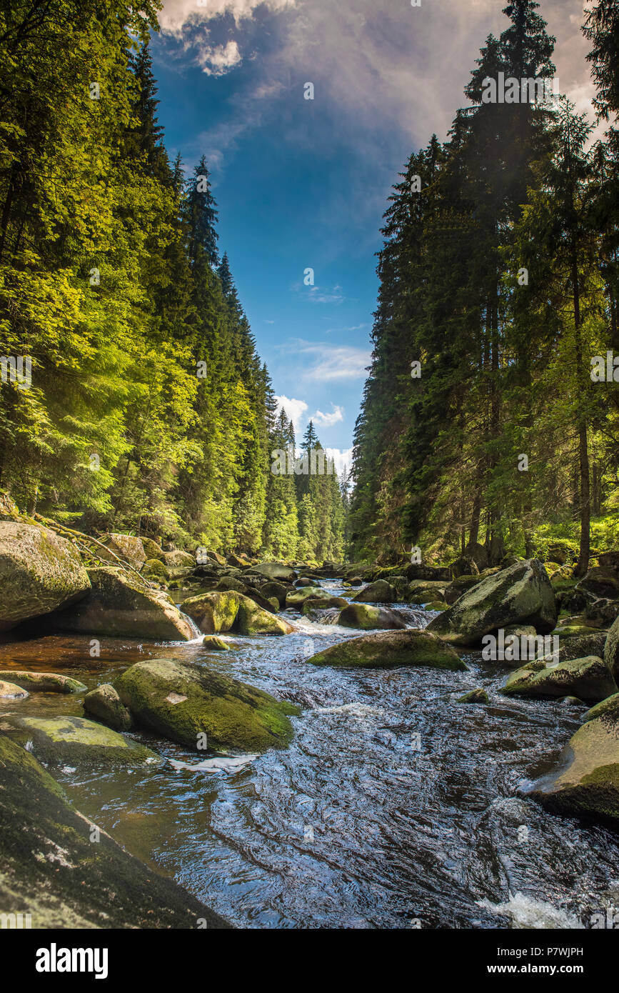 Sumava mountains hi-res stock photography and images - Alamy