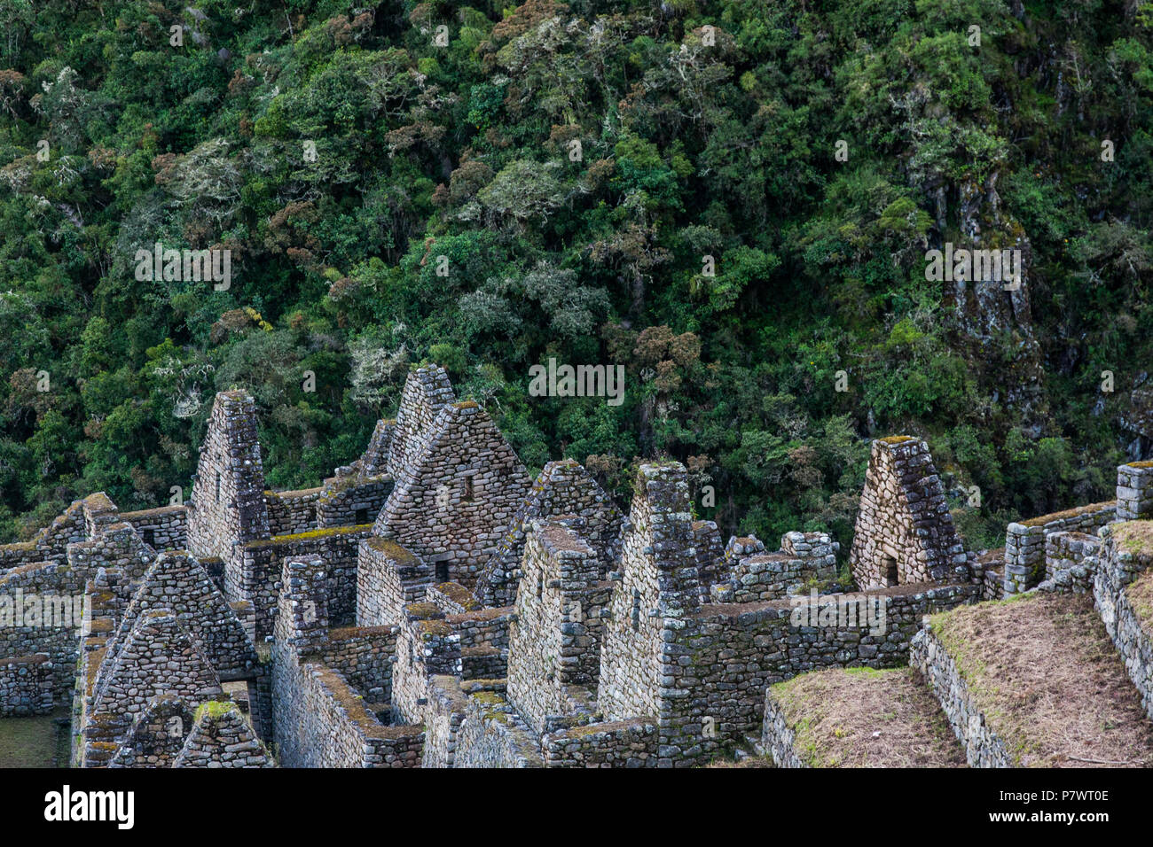 Ancient stone ruins of an Inca town on the Inca Trail in the Andes ...