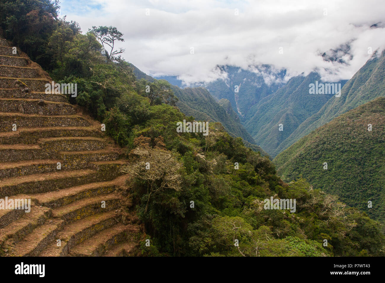 Landscape view of ancient Inca agriculture terrace with mountains and ...