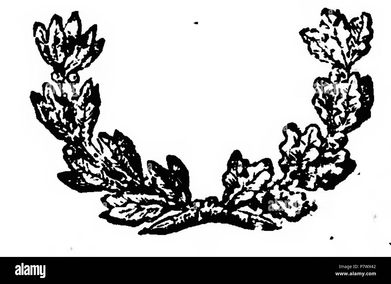 'Cucina teorico-pratica', Ippolito Cavalcanti, Tipografia di G. Palma, Napoli 1839 . 1839 100 Cucina teorico-pratica (page 1 crop) Stock Photo