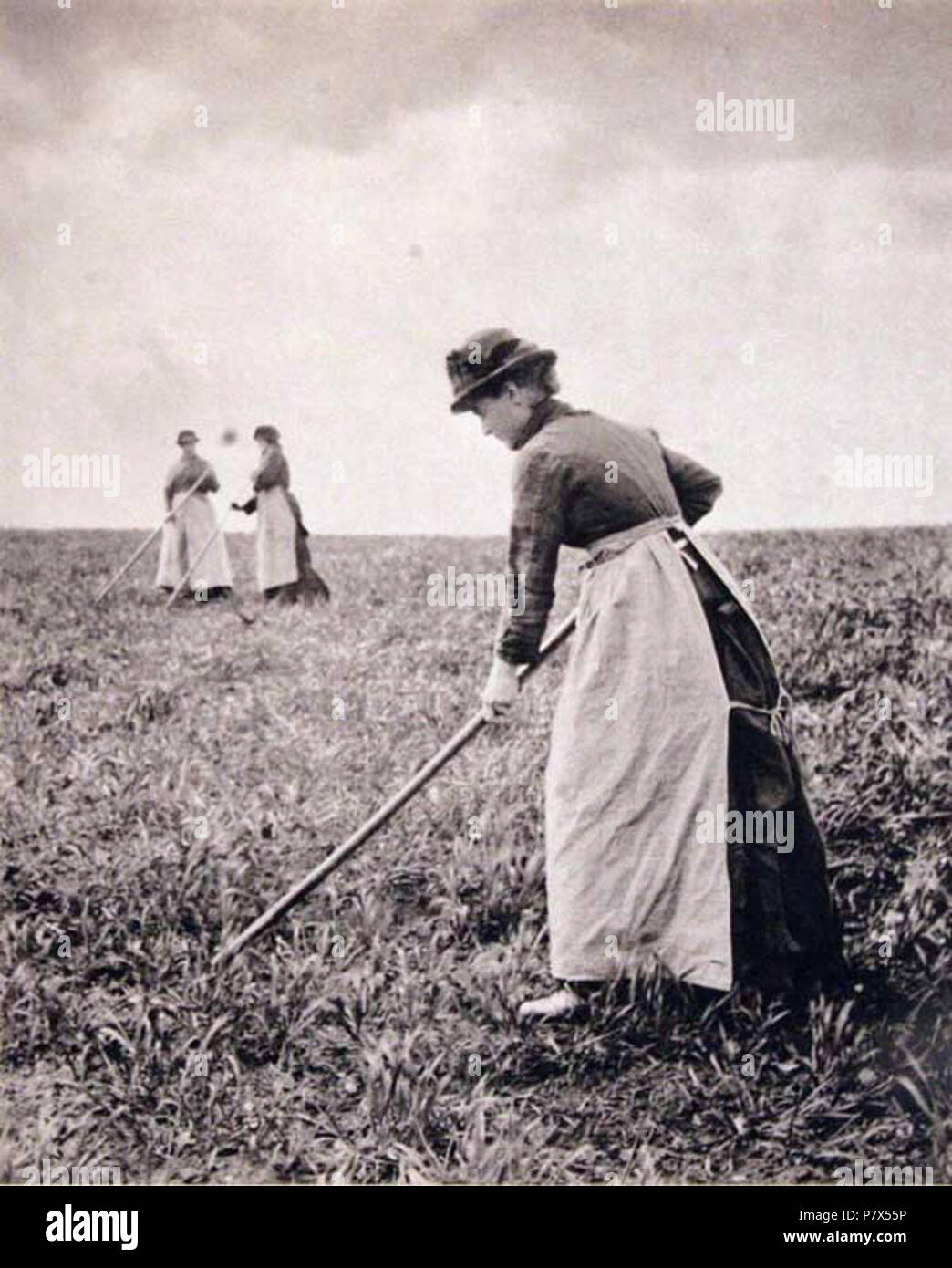 Deutsch: Frauen um 1890 bei der Feldarbeit . circa 1890 144 Emerson19 Stock Photo