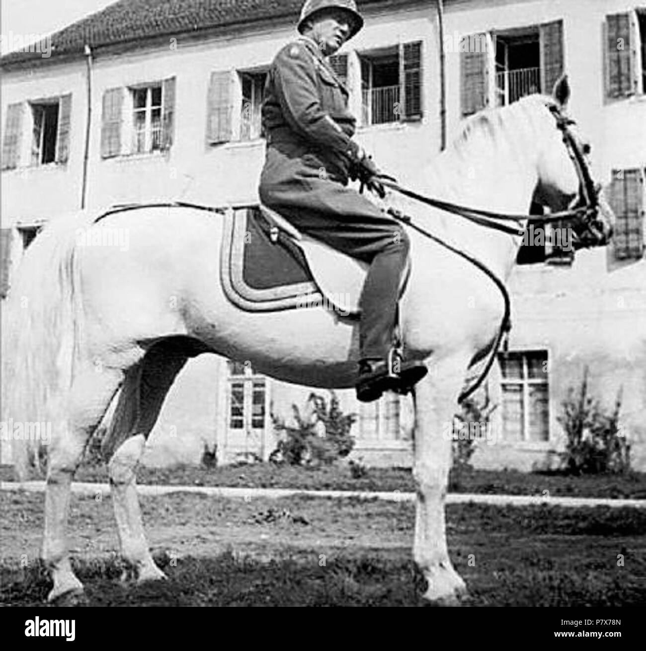 English: Gen. George Patton was instrumental in preserving the Lipizzan breed during the war. During WWII, General George Patton issued orders for them to be relocated away from the war zone, therefore saving the breed . 1945 171 George S. Patton 07 Stock Photo
