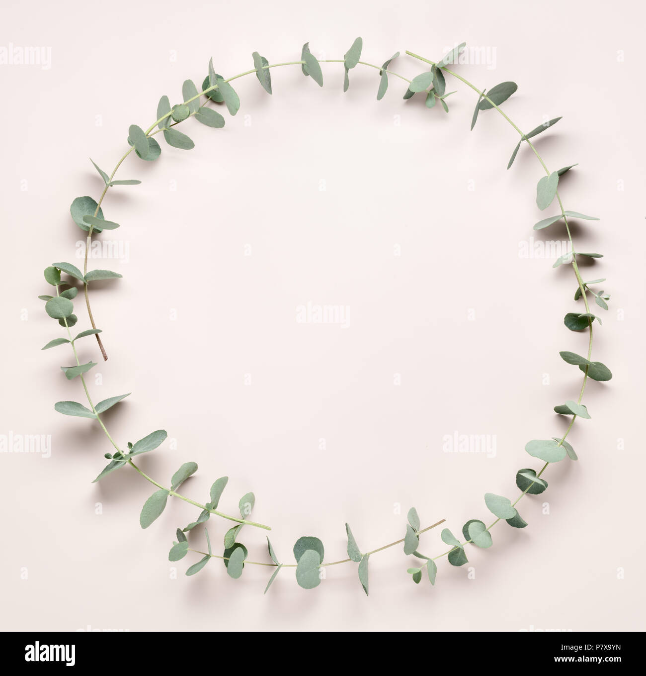 eucalyptus wreath on pink background Stock Photo