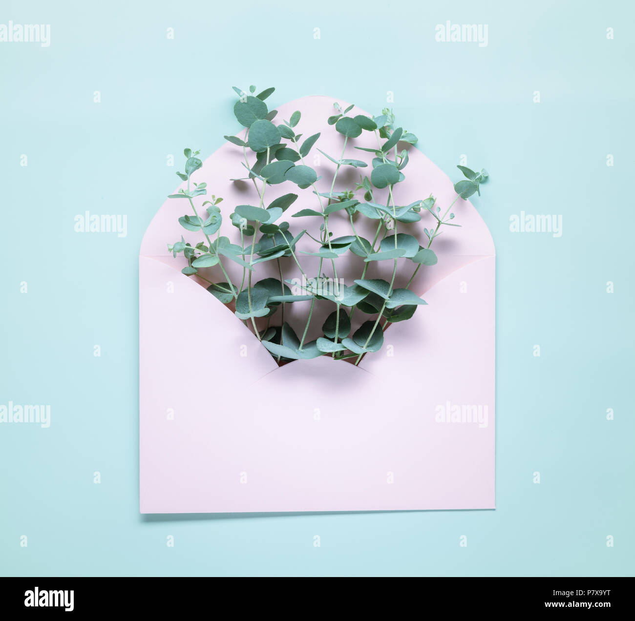 Envelope with eucalyptus leaves Stock Photo