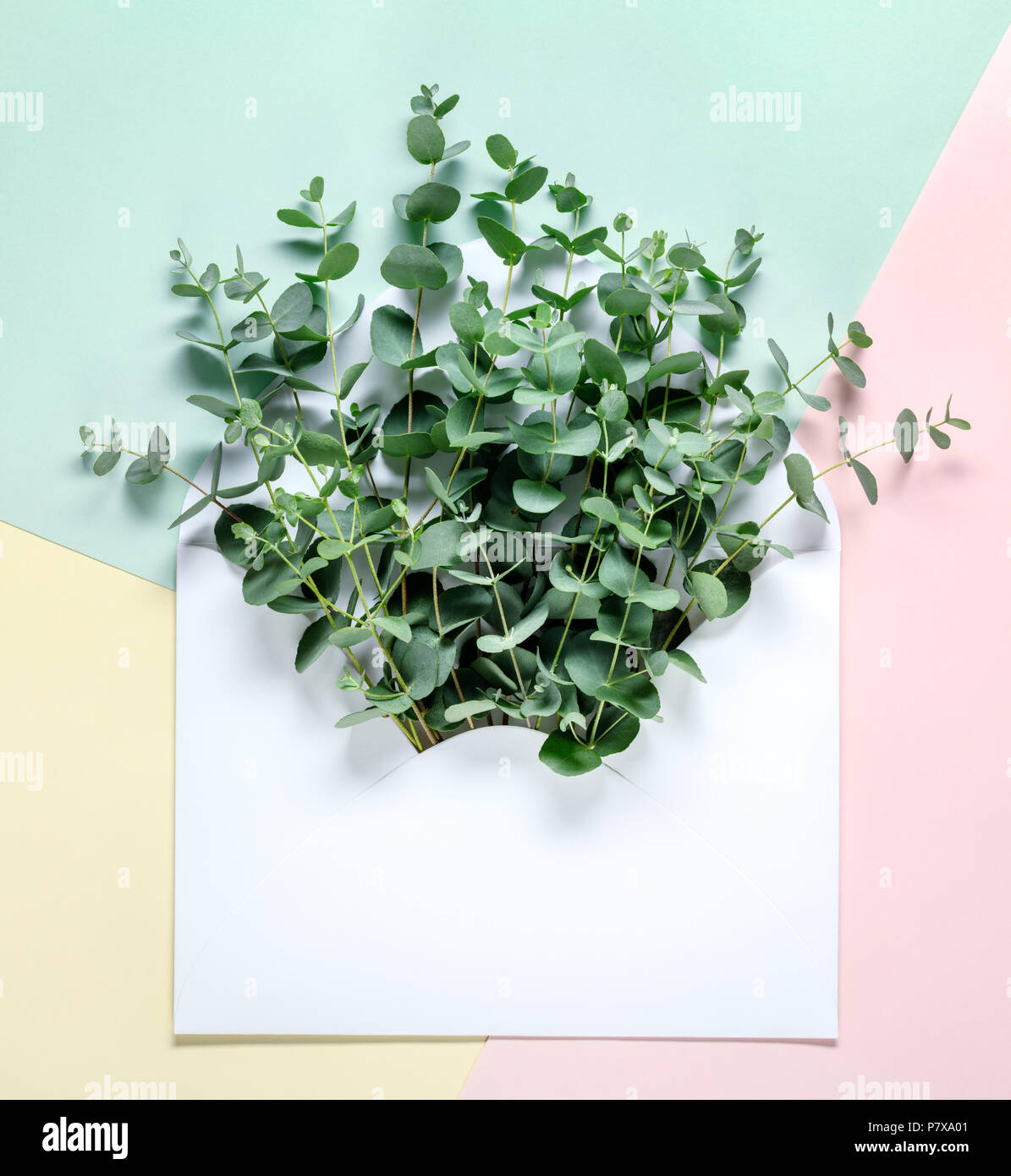 Envelope with eucalyptus leaves Stock Photo