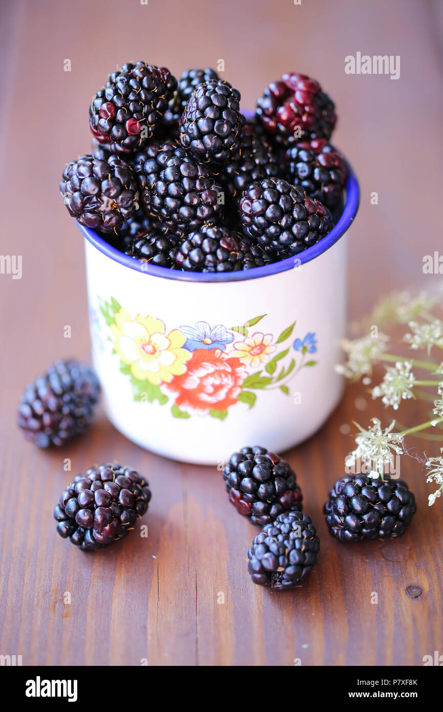 Fresh garden Blackberries in a white vintage cup Stock Photo
