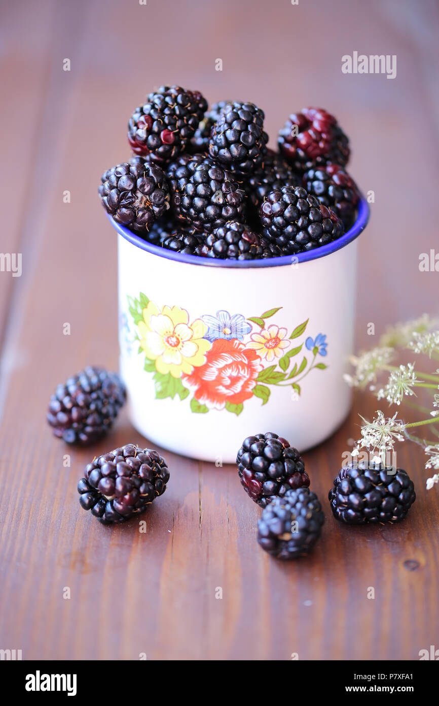 Fresh garden Blackberries in a white vintage cup Stock Photo Alamy