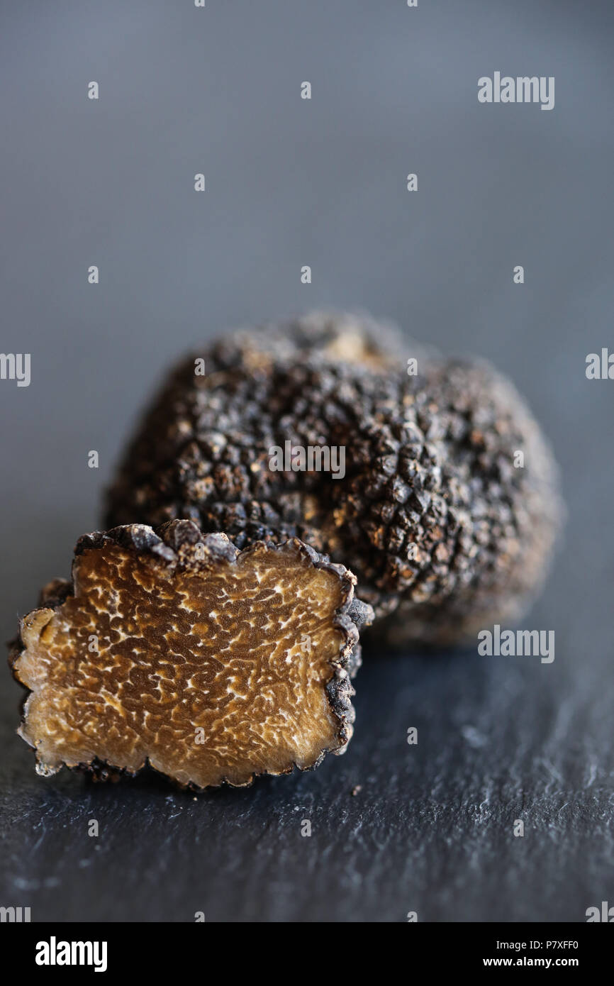 Fresh Black Summer Truffles, the diamond of the kitchen. Stock Photo