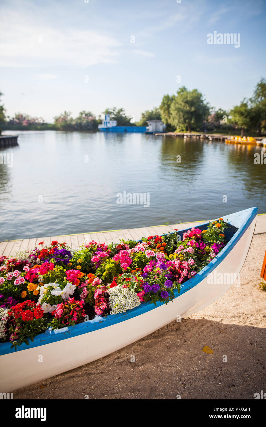 Color image of a wooden boat filled with various flowers Stock Photo ...