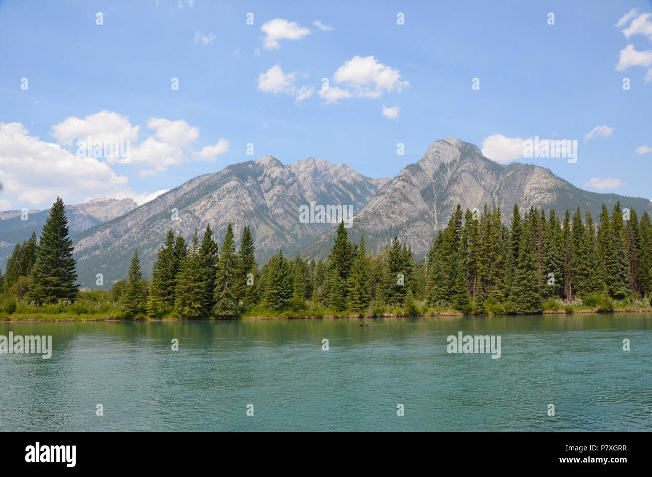 View of the Bow River from trail behind Cave and Basin in Banff National Park Stock Photo Alamy