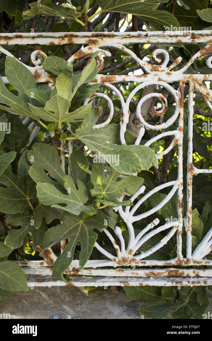 Railings in Masouri, Kalymnos, Greece Stock Photo - Alamy