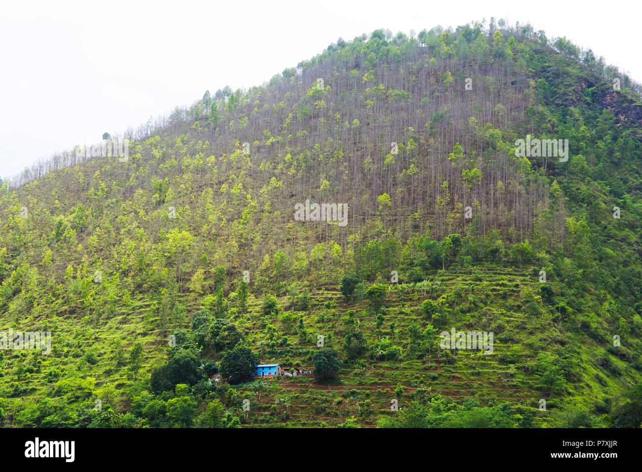 A beautiful hill from Dolalghat, Nepal. Stock Photo