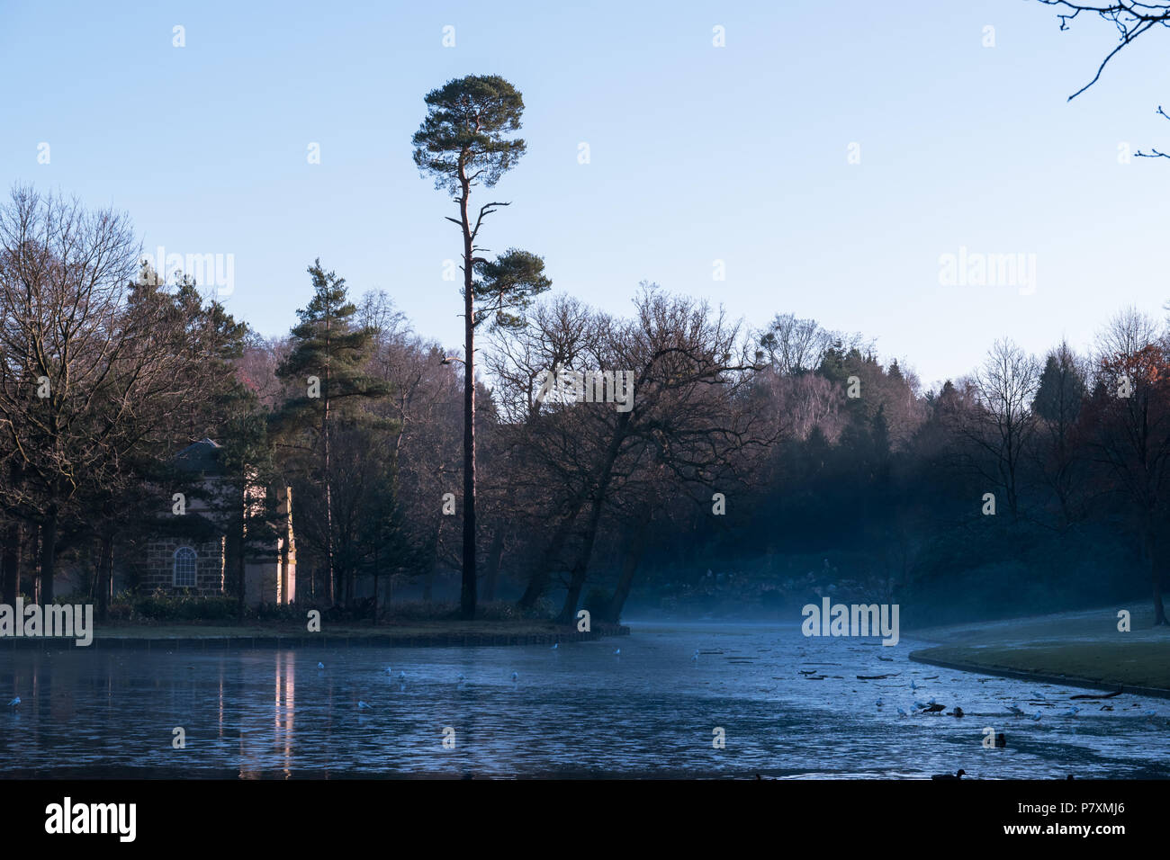 A mist descends on the lake at Claremont National Trust property in winter Stock Photo