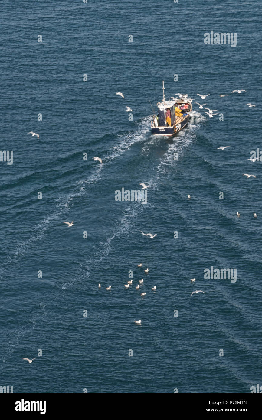 Birds following fishing boat hires stock photography and images Alamy