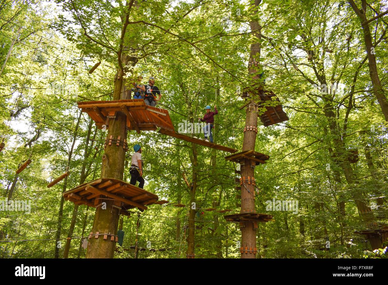 Kandel, Rheinland Pfalz, Germany - 2018: Fun Forest - zip line, climbing adventure park. Stock Photo