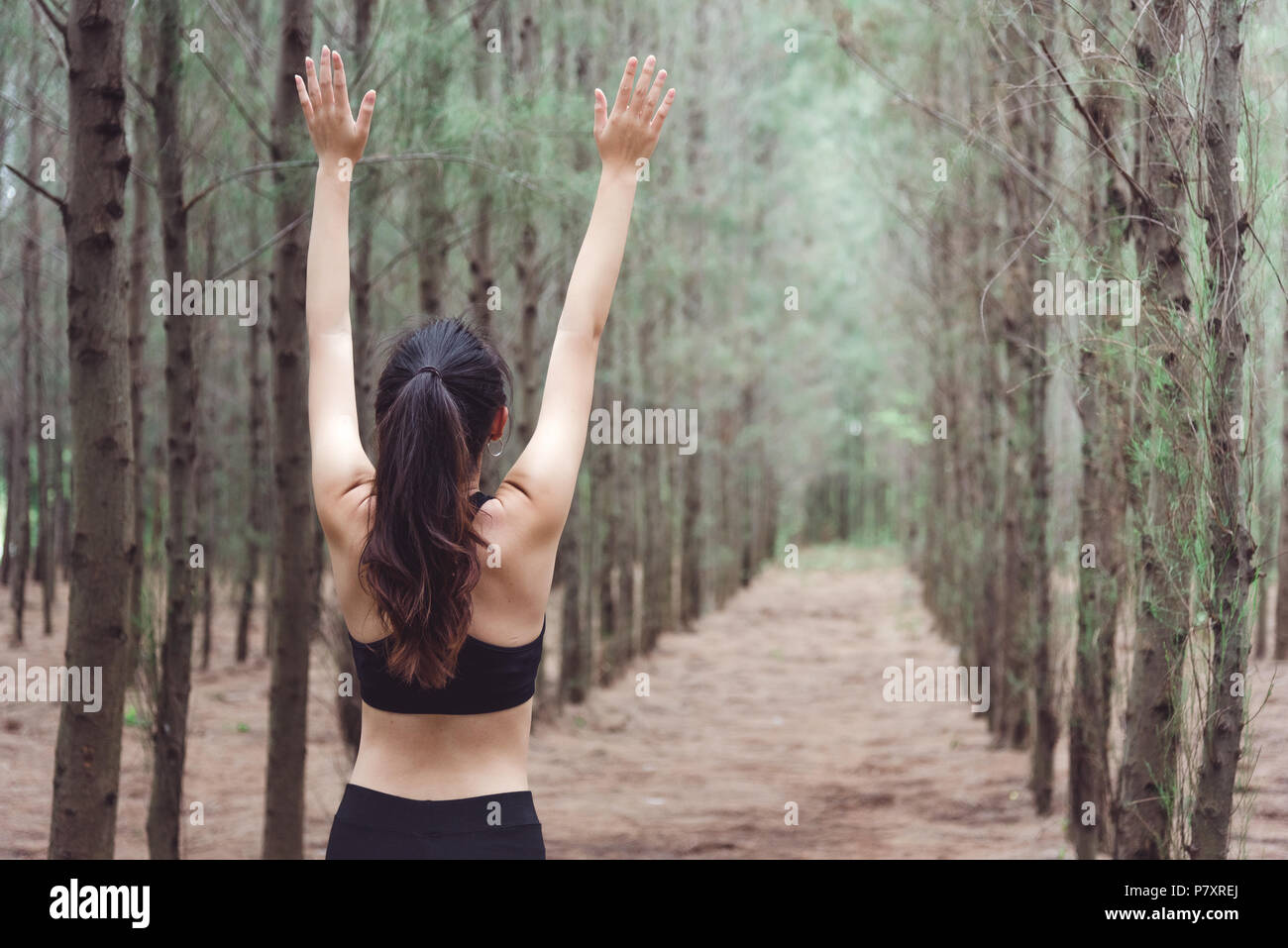Women breathe fresh air in middle of pinewood forest while exercising. Workouts and Lifestyles concept. Happy life and Healthcare theme. Nature and Ou Stock Photo