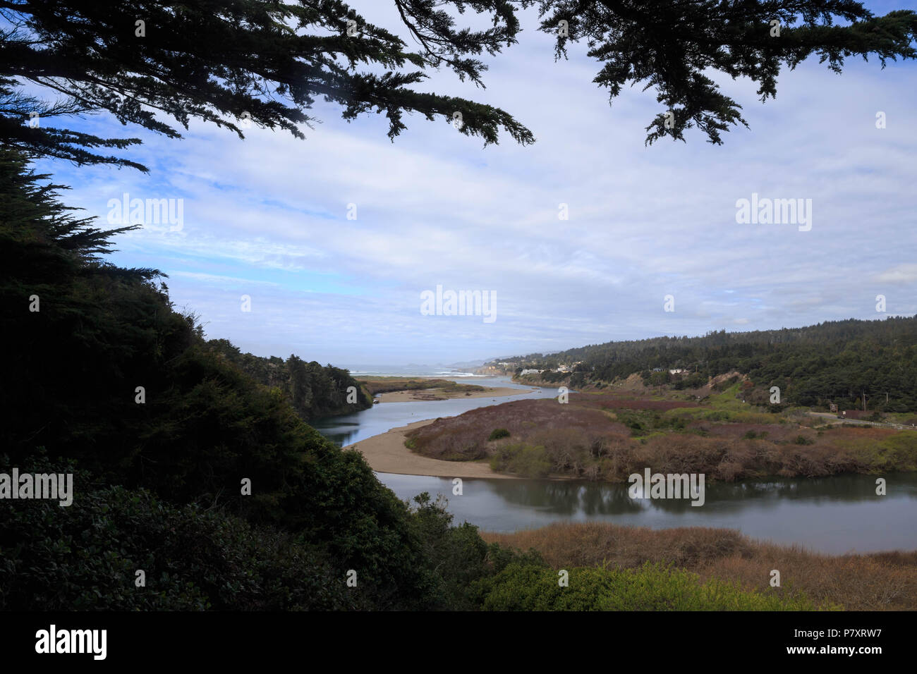 Gualala River winds through forest and tidal wetland to reach the sea