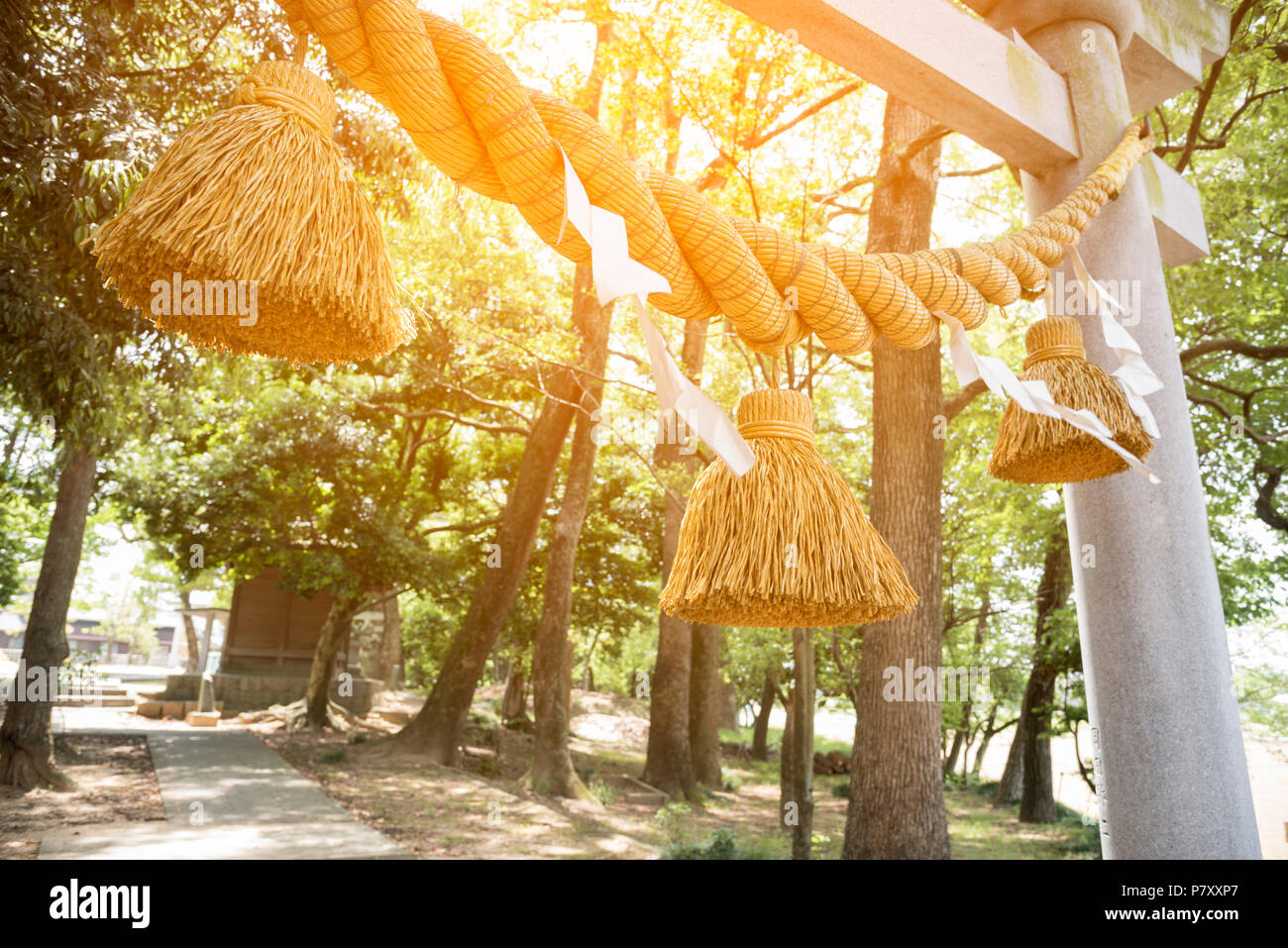 Japanese big rope in new year day named "ShimeNawa", Festival in Japan concept Stock Photo Alamy