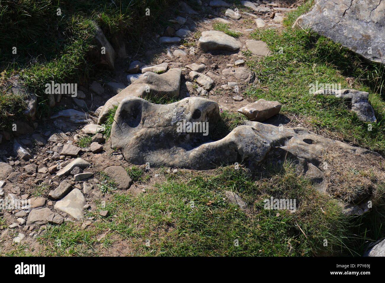A rock that appears to have similarities to a face. Stock Photo