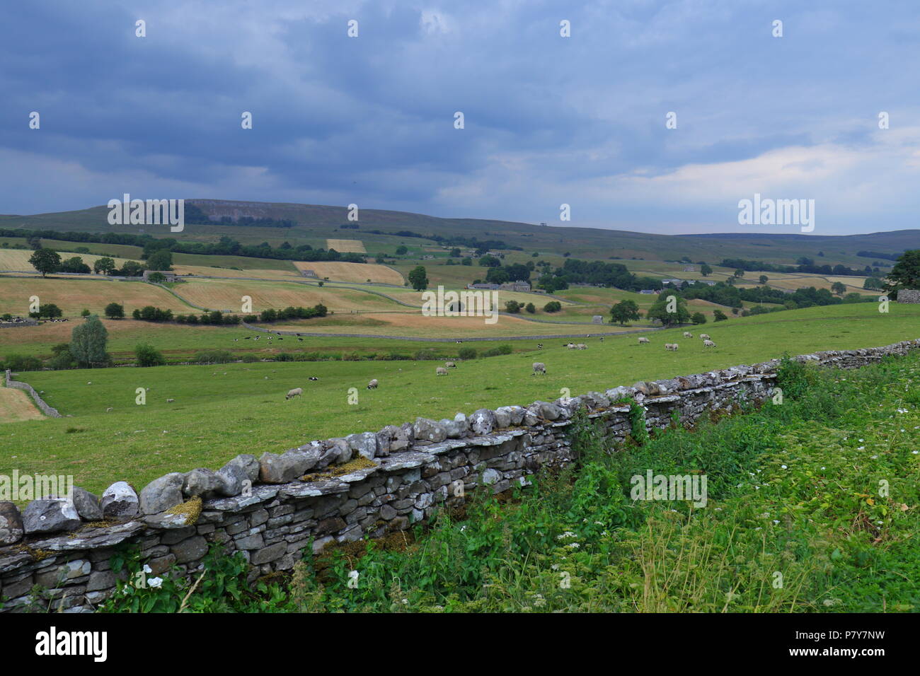 A picturesque view of Wensleydale near Bainbridge in the Yorkshire Dales Stock Photo