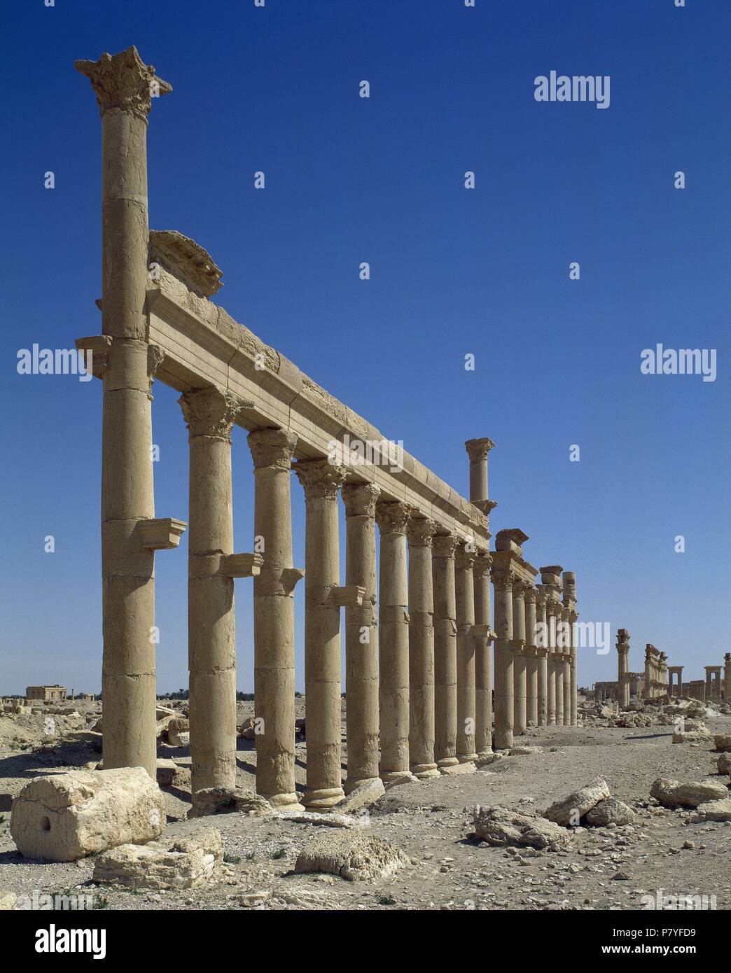 Syria. Palmyra city. The Great Colonnade. Roman Empire ruins. Tadmur, Homs. Photo before Syrian Civil War. Stock Photo