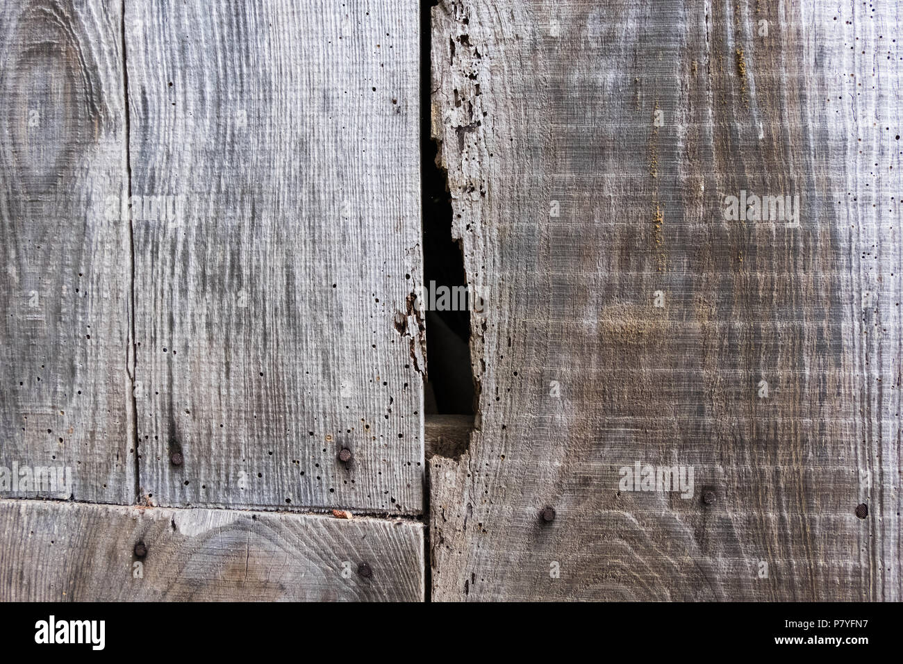 Pinned wood planks wall texture Stock Photo - Alamy