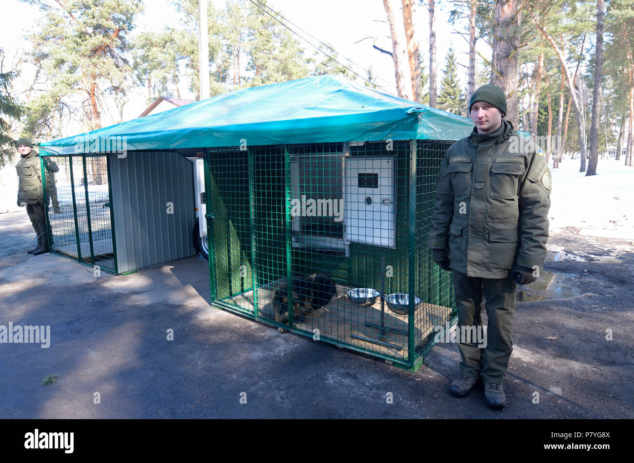 Ukrainian military dog handlers standing beside mobile aviary with German shepherds in cages.March 23, 2018. Staroe, Ukraine Stock Photo