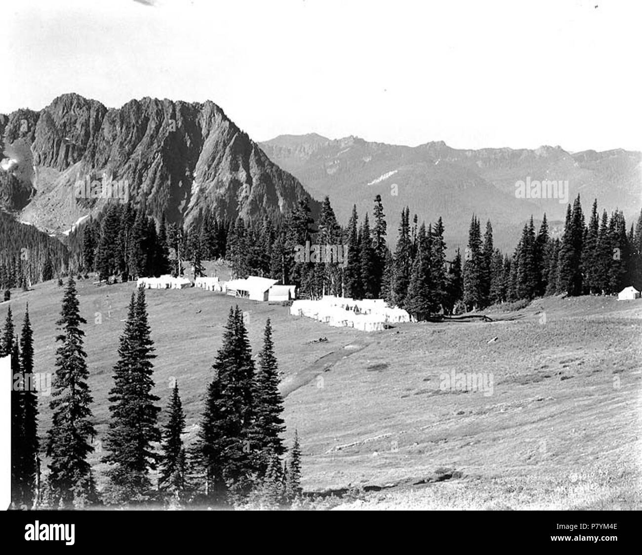 . English: John Reese's hotel tent camp known as Camp of the Clouds, Alta Vista, upper Paradise Valley, Mount Rainier National Park, Washington, 1910. English: On sleeve of negative: Mt. Tacoma. Paradise. Reeses camp 1910 Subjects (LCTGM): Tents--Washington (State)--Mount Rainier National Park; Valleys--Washington (State) Subjects (LCSH): Camp sites, facilities, etc.--Washington (State)--Mount Rainier National Park; Camp of the Clouds (Wash.); Paradise Valley (Lewis County and Pierce County, Wash.); Mount Rainier National Park (Wash.)  . 1910 222 John Reese's hotel tent camp known as Camp of t Stock Photo