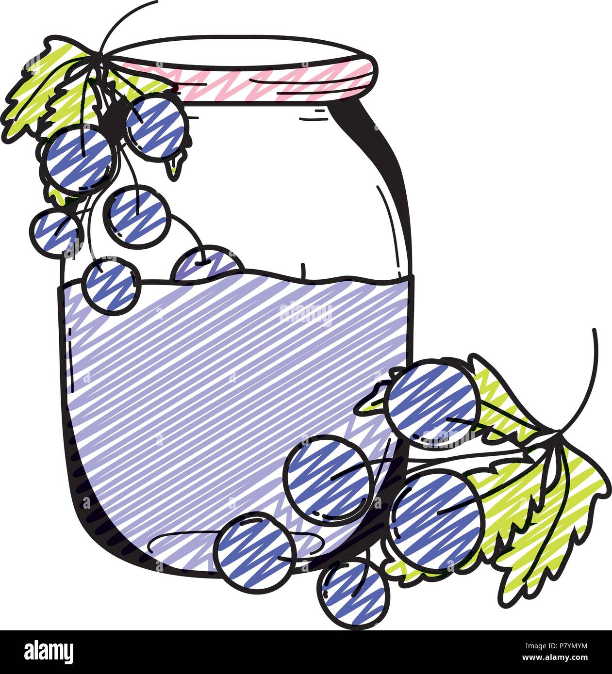 doodle grapes healthy juice nutrition in the jar Stock Vector Image