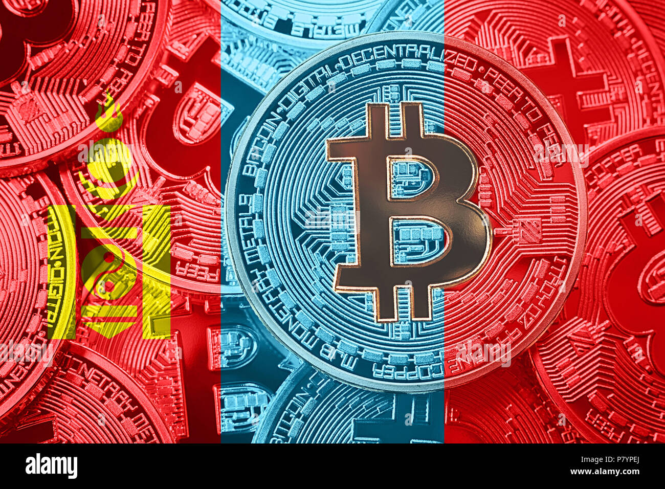 Bitcoin mine cats mongolia (84) 사진