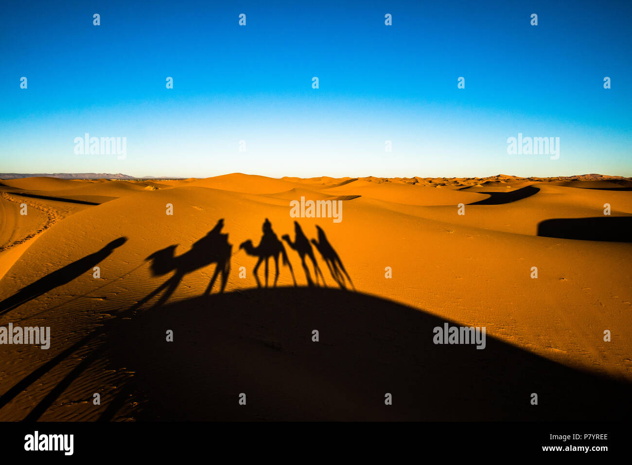 Wide angle shot of people riding camels in caravan over the sand dunes in Sahara desert with camel shadows on a sand Stock Photo