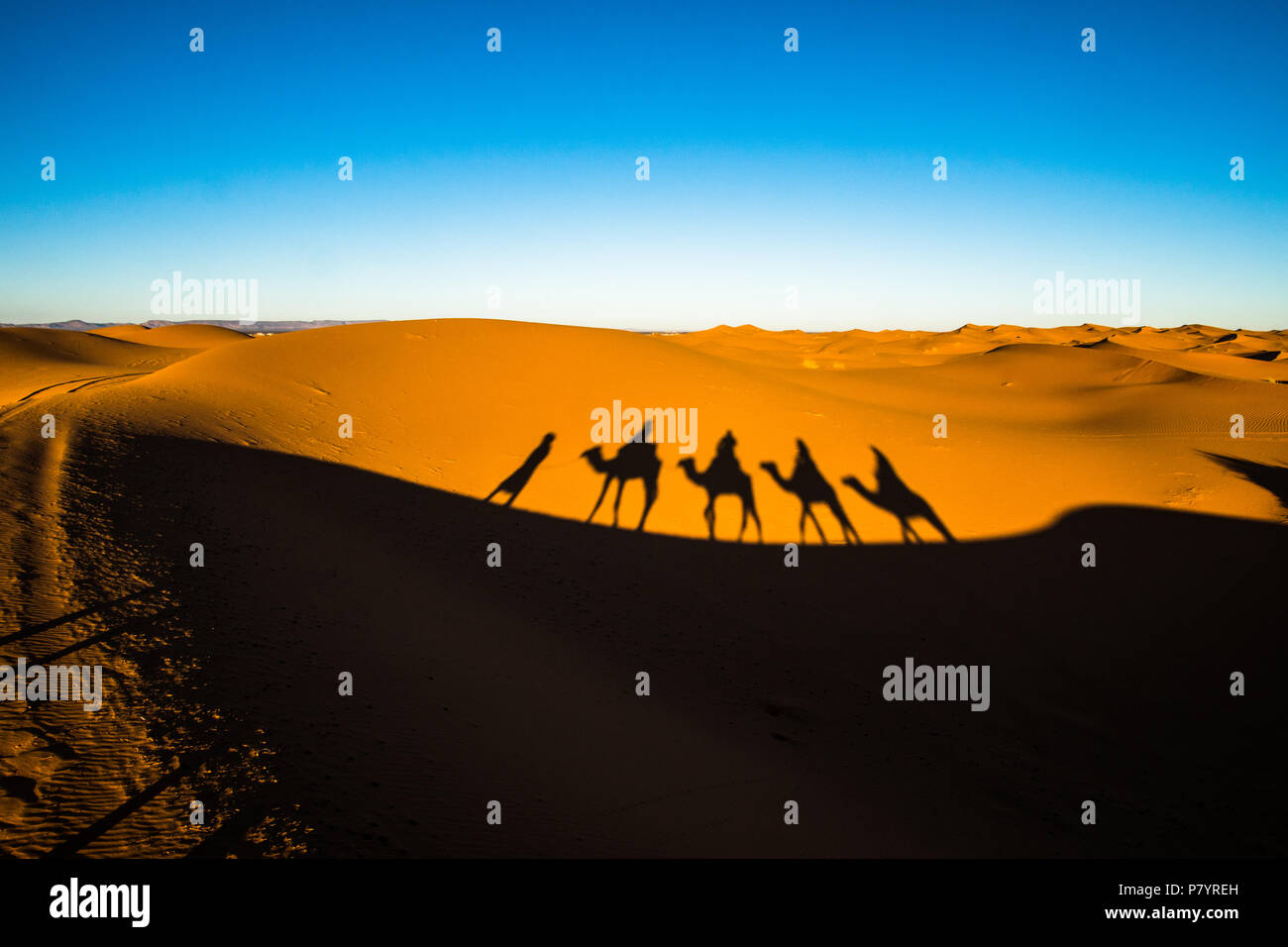 Wide angle shot of people riding camels in caravan over the sand dunes in Sahara desert with camel shadows on a sand Stock Photo
