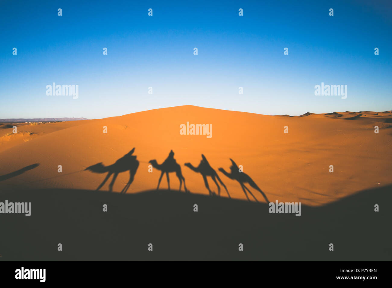 Vintage looking image of people riding camels in caravan over the sand dunes in Sahara desert with camel shadows on a sand Stock Photo