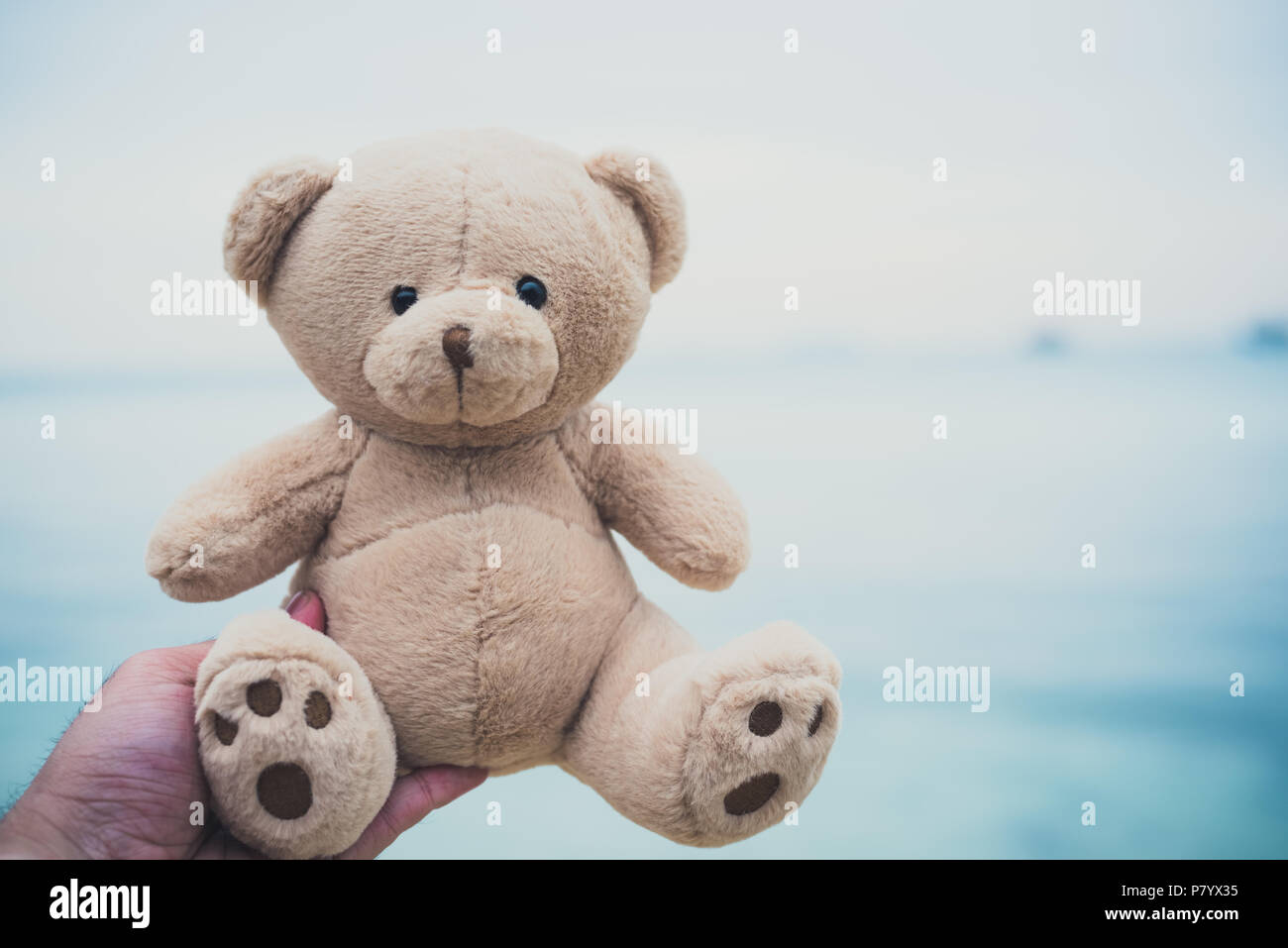 Bear doll in hands. Beach and sea background. Childhood and past memory concept. Happiness and lifestyle concept. Toy and soulmate theme. Dark ton fil Stock Photo
