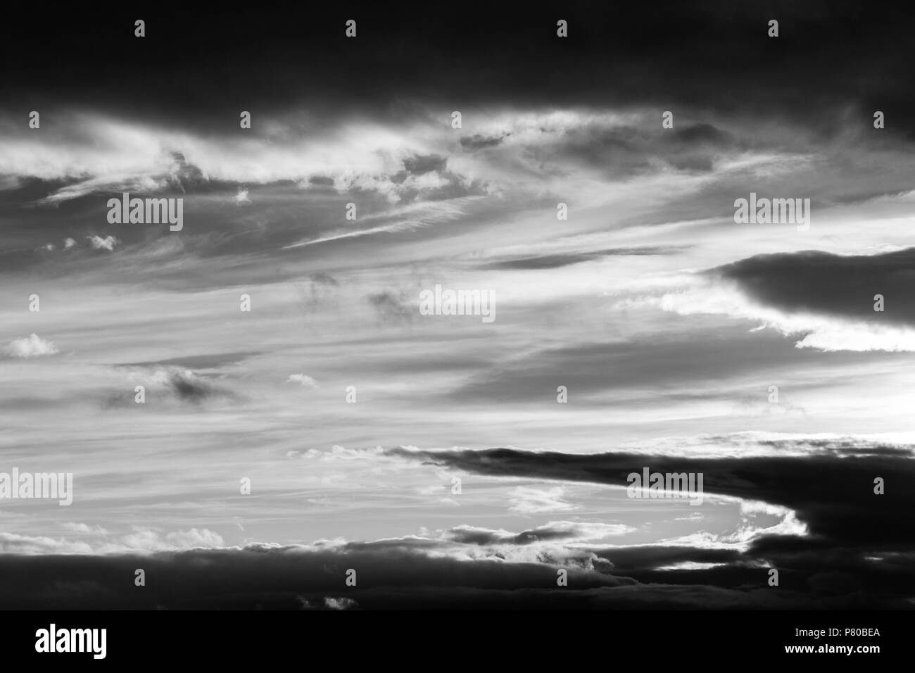 High contrast backlit Black and White Stock Photos & Images - Alamy