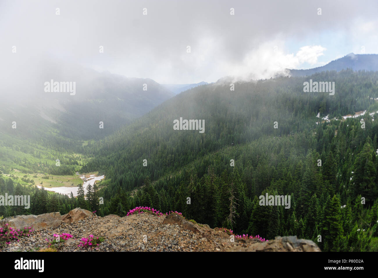 Mount Rainier shrouded in Clouds Stock Photo - Alamy