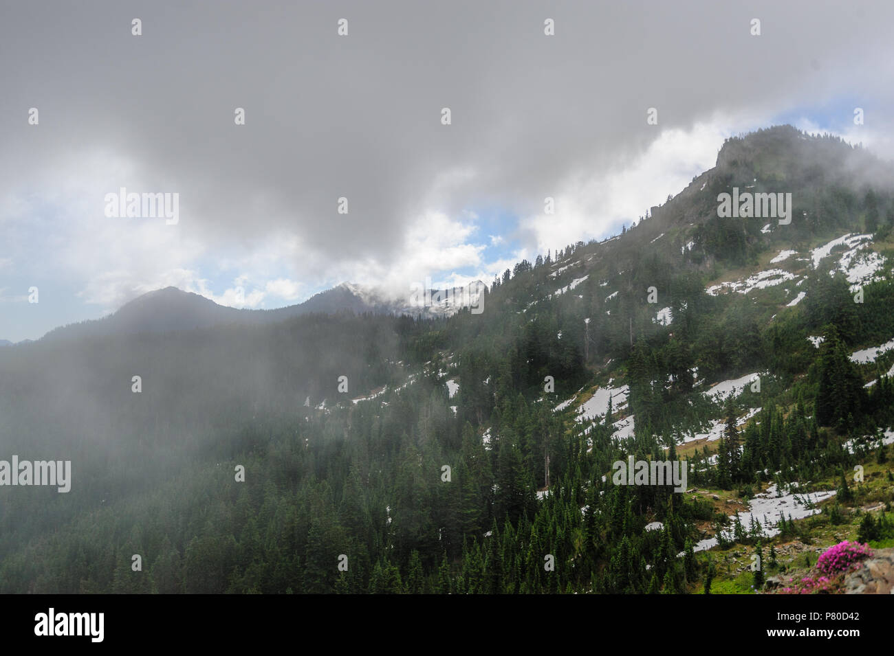 Mount Rainier shrouded in Clouds Stock Photo - Alamy