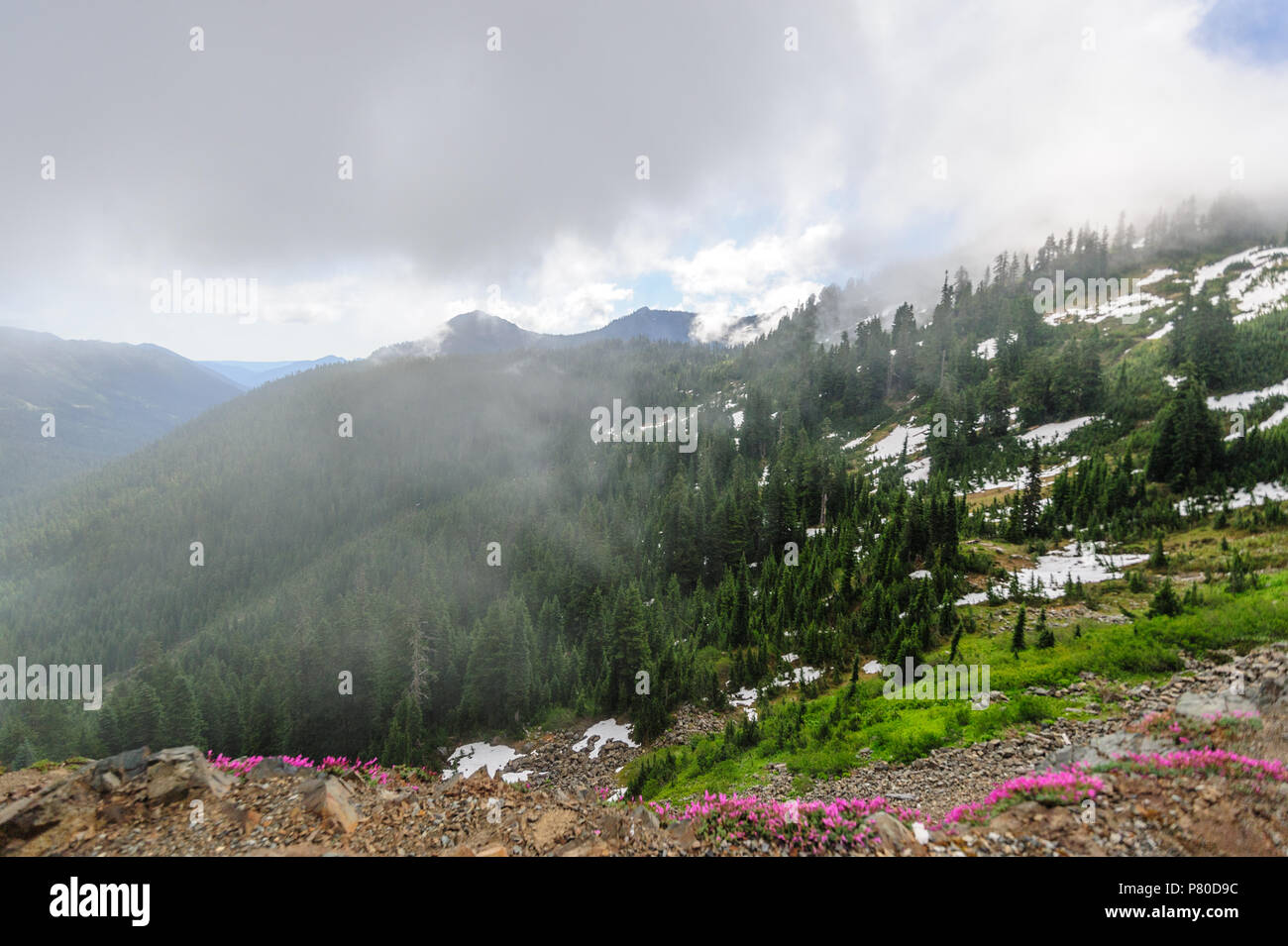 Mount Rainier shrouded in Clouds Stock Photo - Alamy