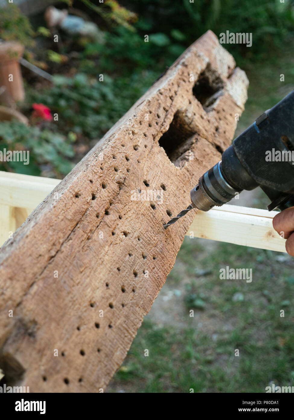 Drilling holes in wood hires stock photography and images Alamy