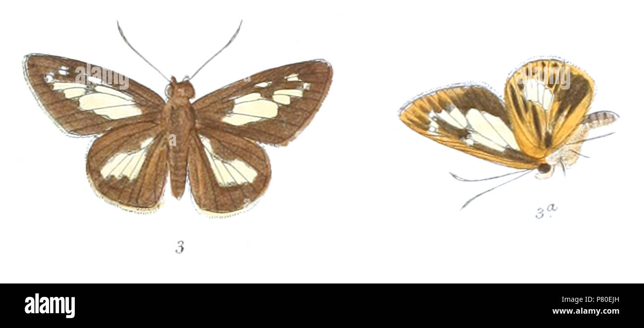 806 Cut Out Stock Images & Pictures - Alamy