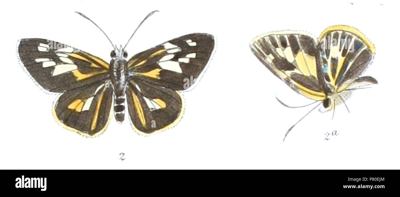 806 Cut Out Stock Images & Pictures - Alamy