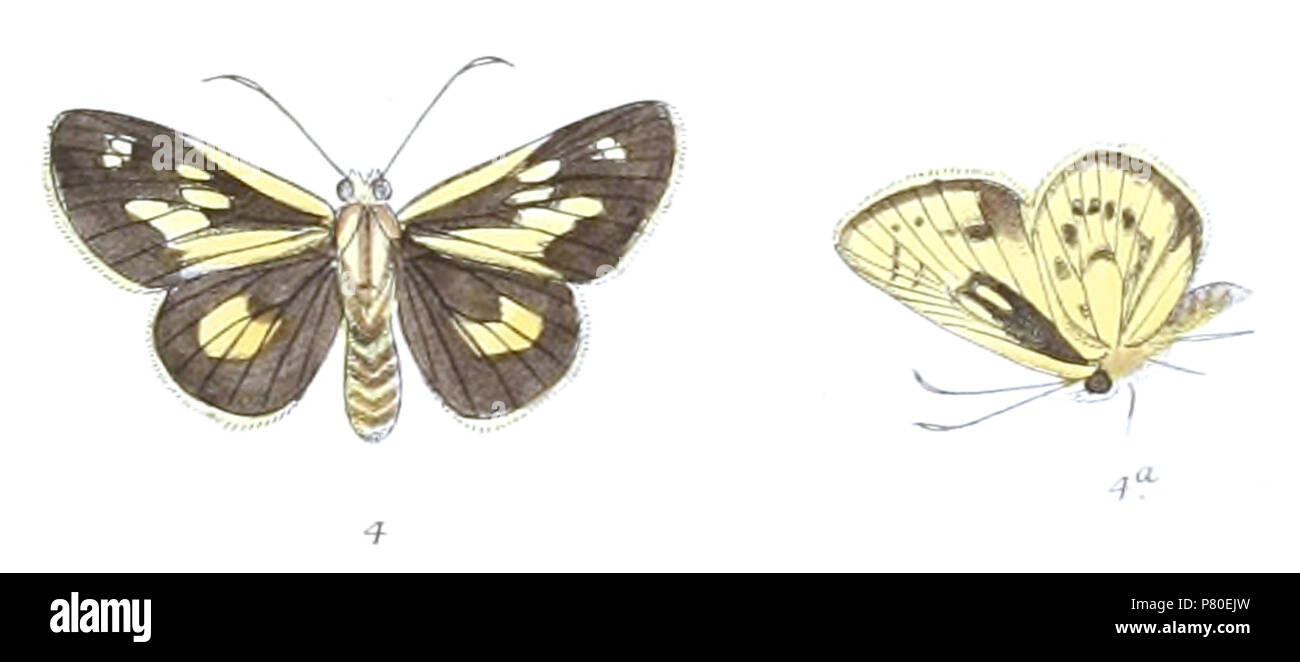 806 Cut Out Stock Images & Pictures - Alamy