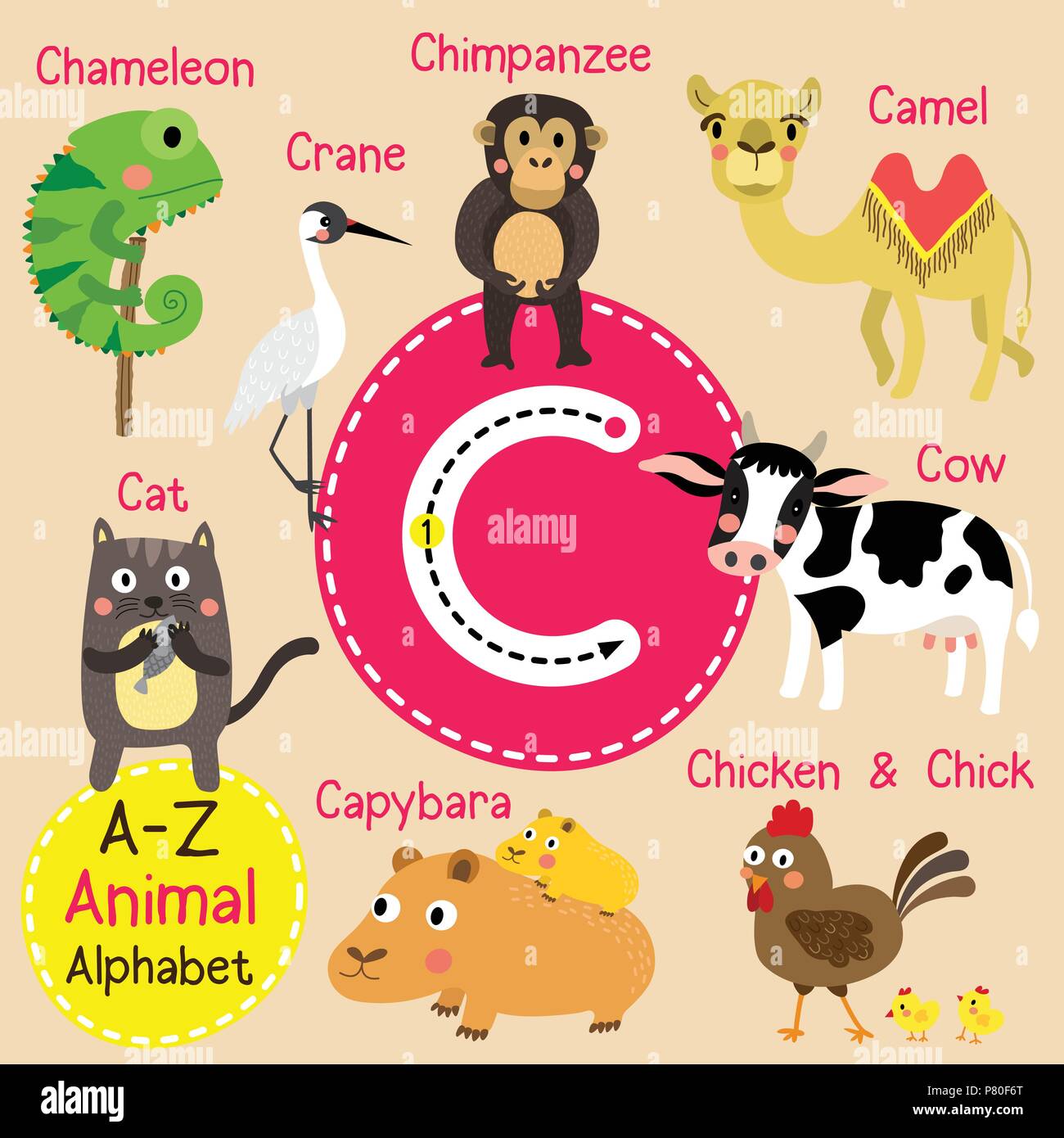 Animal Alphabet C Hi res Stock Photography And Images Alamy Animal Alphabet C Hi res Stock Photography And Images Alamy