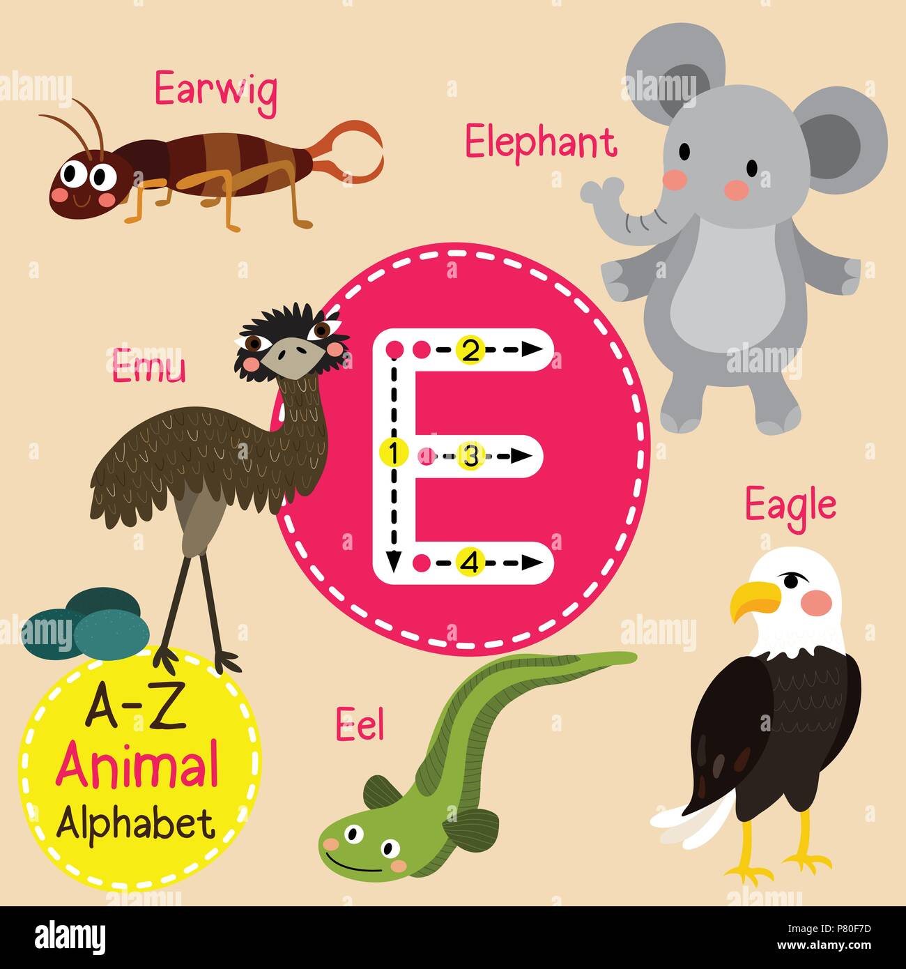 Cute children zoo alphabet E letter tracing of funny animal cartoon for ...