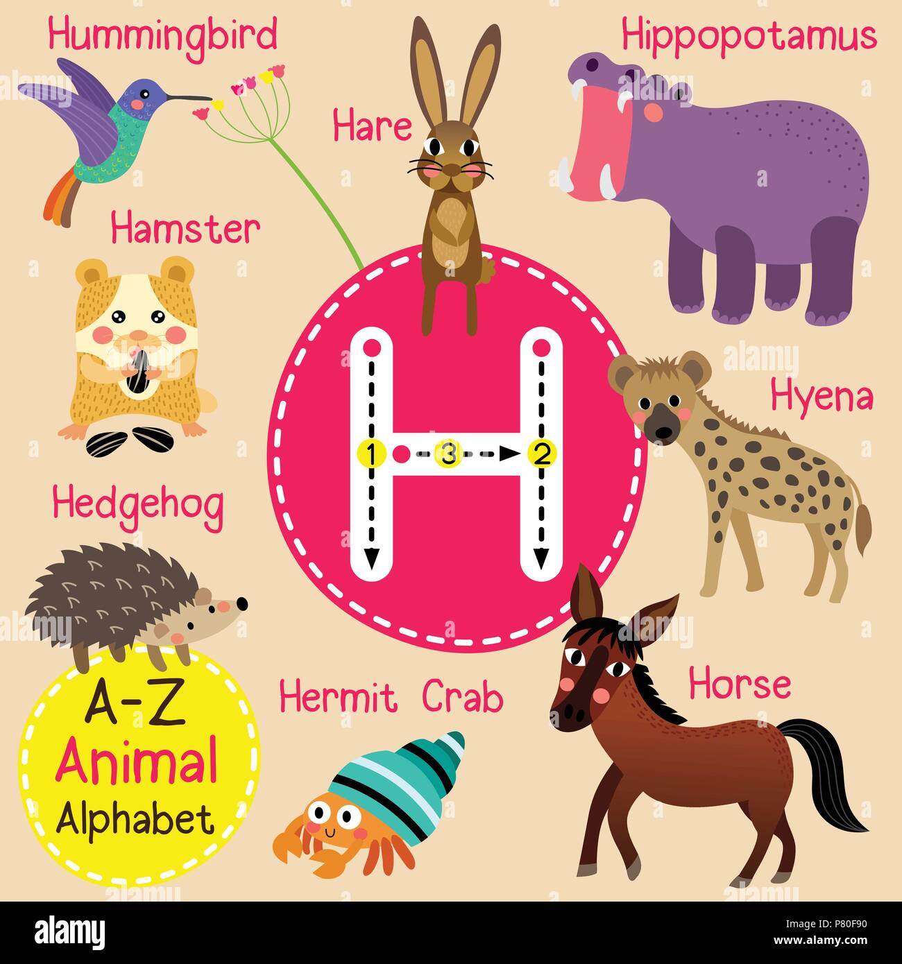 Cute children zoo alphabet H letter tracing of funny animal cartoon for