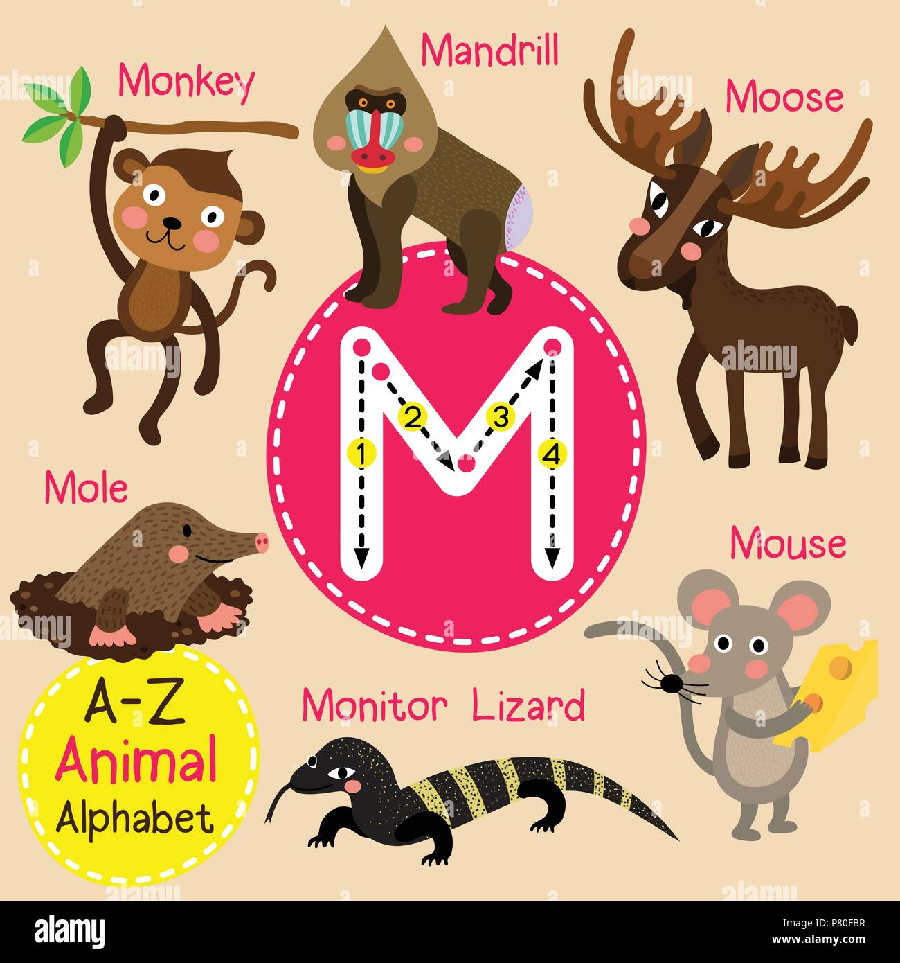 Cute children zoo alphabet M letter tracing of funny animal cartoon for kids learning English vocabulary Stock Vector