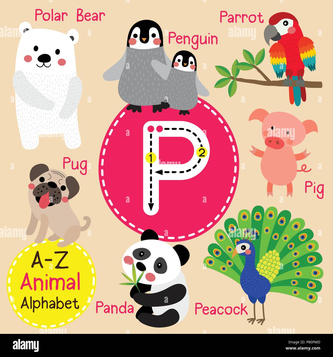 Cute Children Zoo Alphabet P Letter Tracing Of Funny Animal Cartoon For Kids Learning English Vocabulary Stock Vector Image Art Alamy