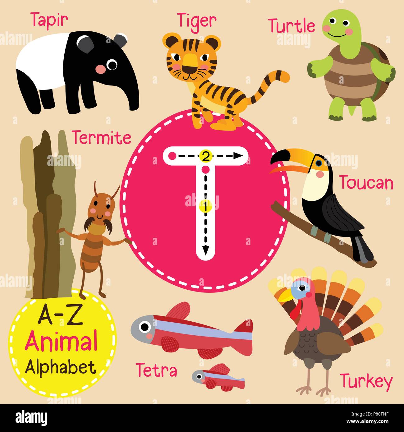 Cute children zoo alphabet T letter tracing of funny animal cartoon for  kids learning English vocabulary Stock Vector Image & Art - Alamy